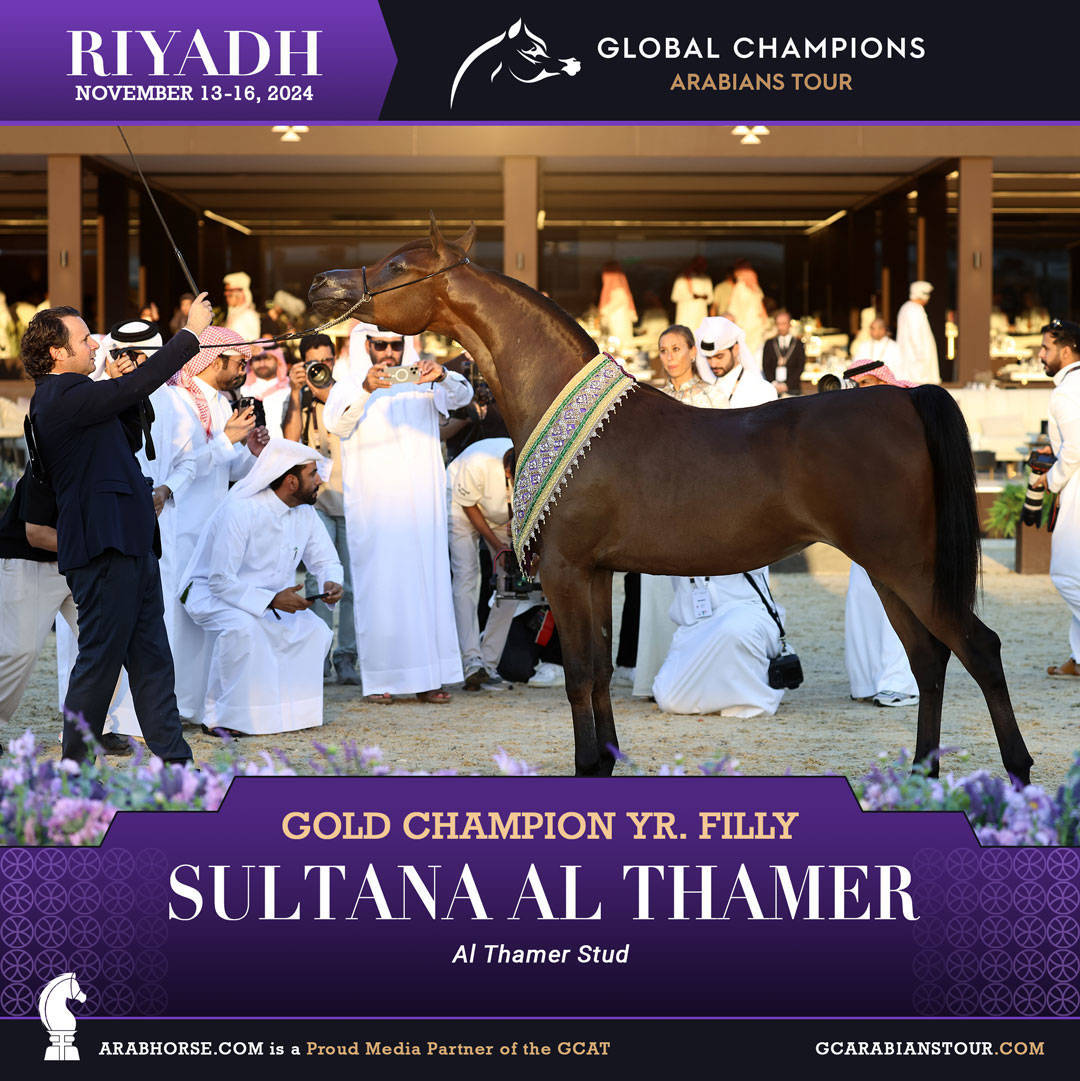 DAY 4: THE GRAND FINALE AND CROWNING CHAMPIONS