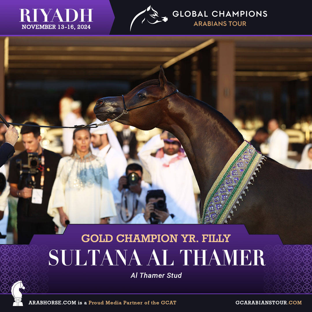 DAY 4: THE GRAND FINALE AND CROWNING CHAMPIONS