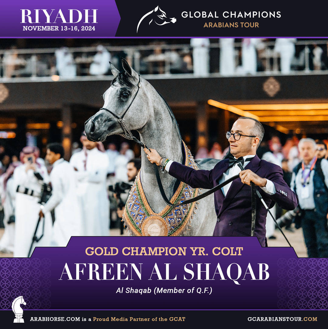 DAY 4: THE GRAND FINALE AND CROWNING CHAMPIONS