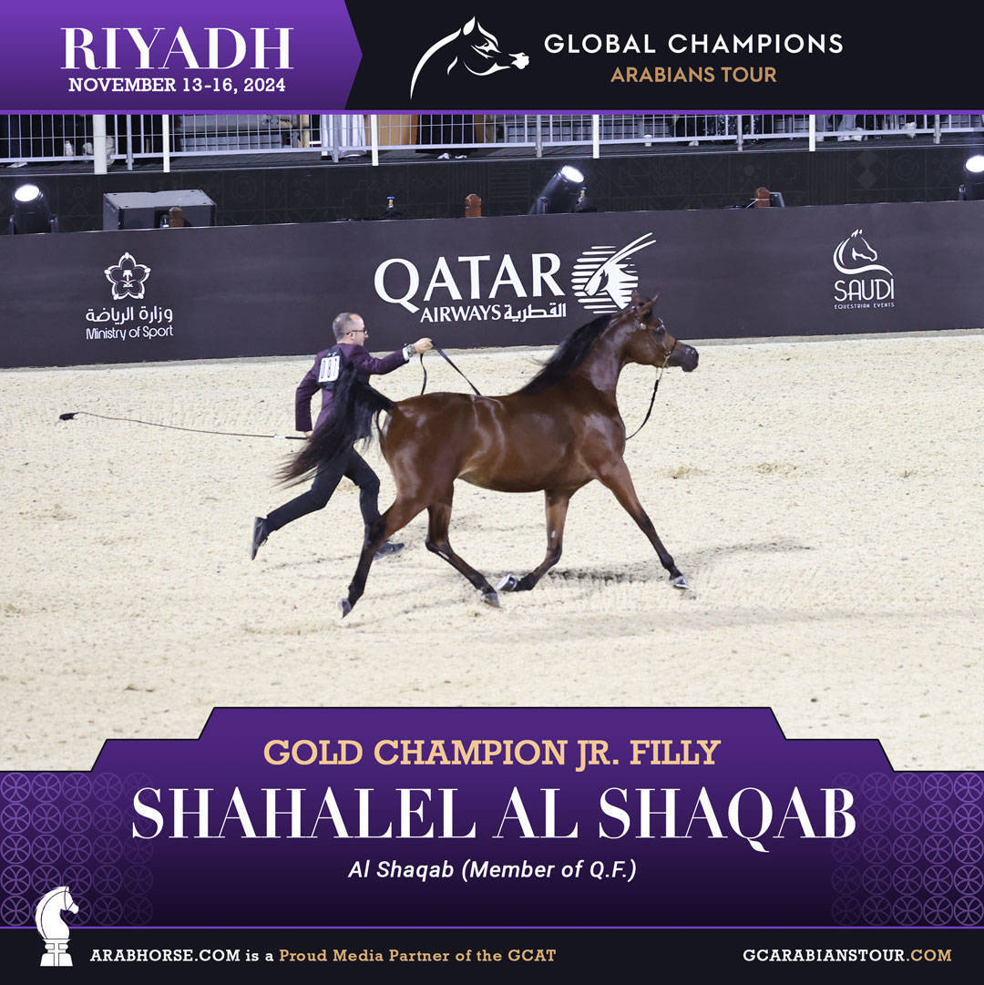 DAY 4: THE GRAND FINALE AND CROWNING CHAMPIONS