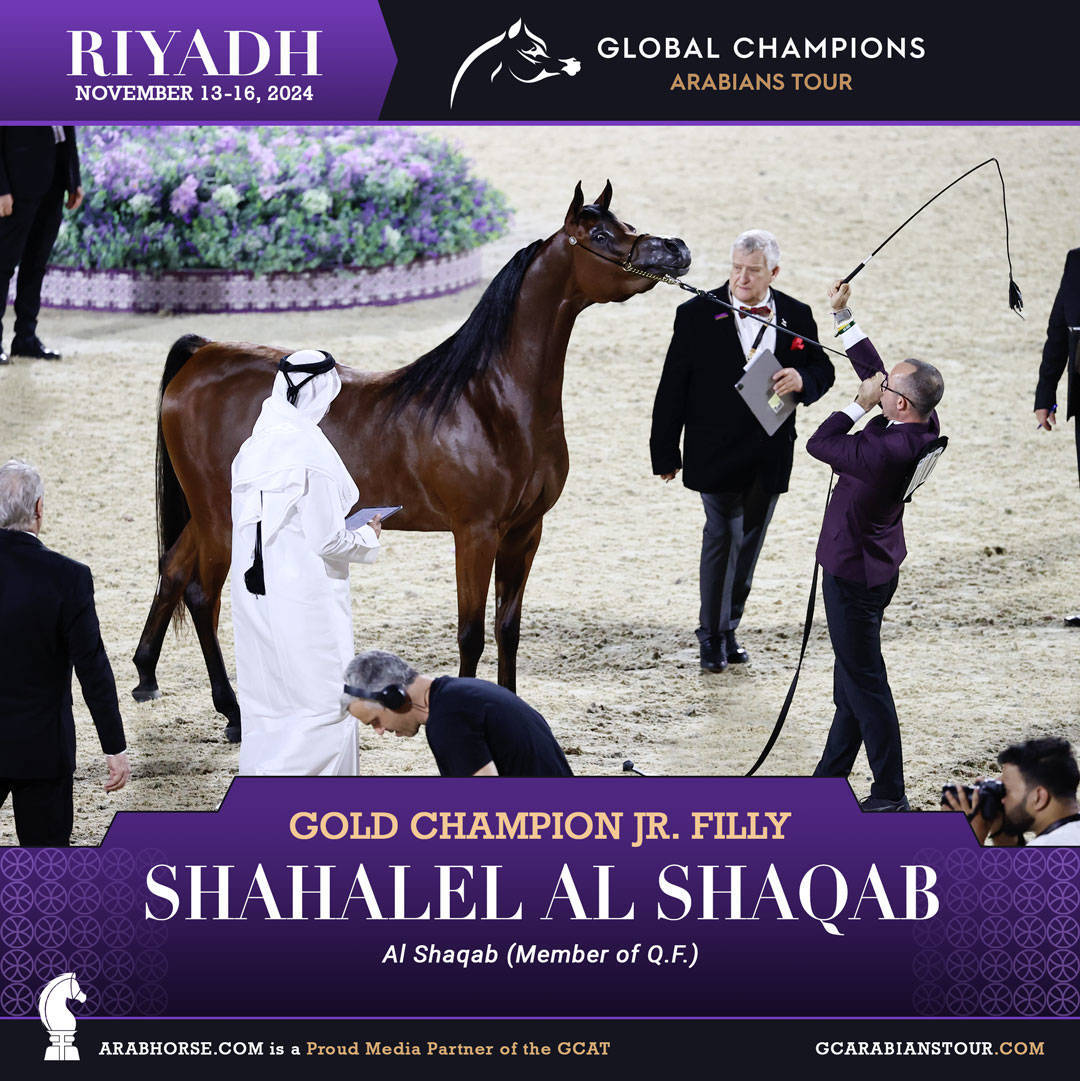 DAY 4: THE GRAND FINALE AND CROWNING CHAMPIONS