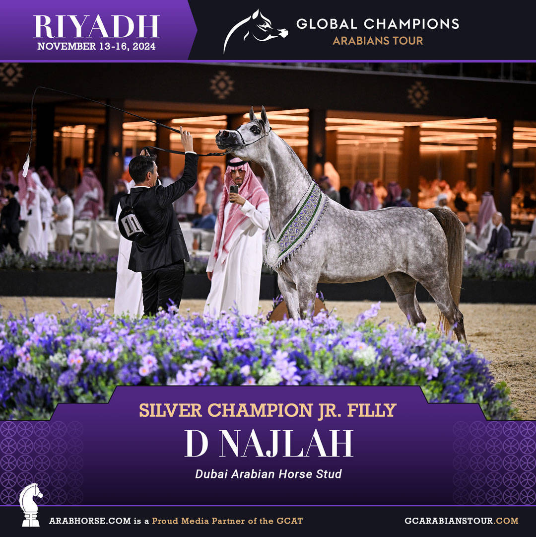 DAY 4: THE GRAND FINALE AND CROWNING CHAMPIONS