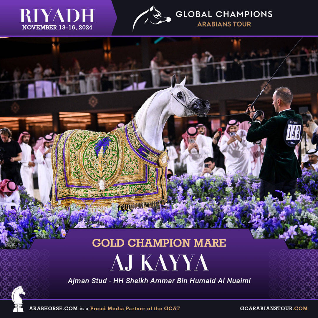 DAY 4: THE GRAND FINALE AND CROWNING CHAMPIONS