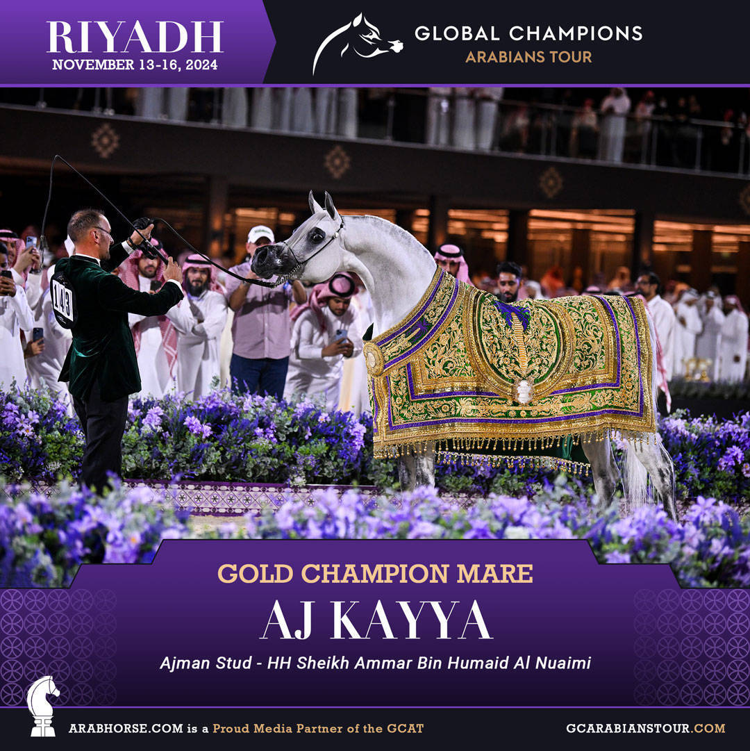 DAY 4: THE GRAND FINALE AND CROWNING CHAMPIONS