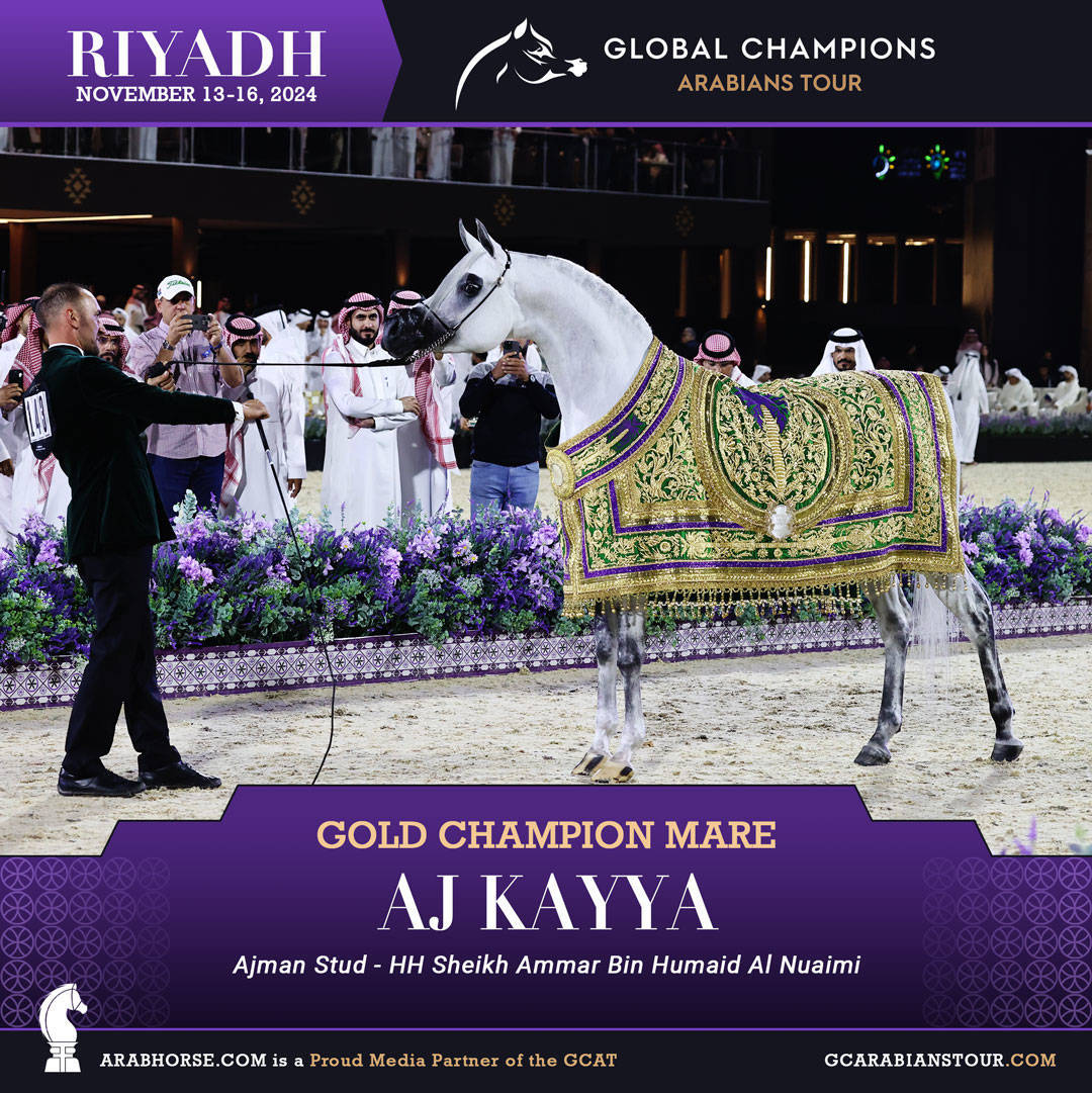 DAY 4: THE GRAND FINALE AND CROWNING CHAMPIONS