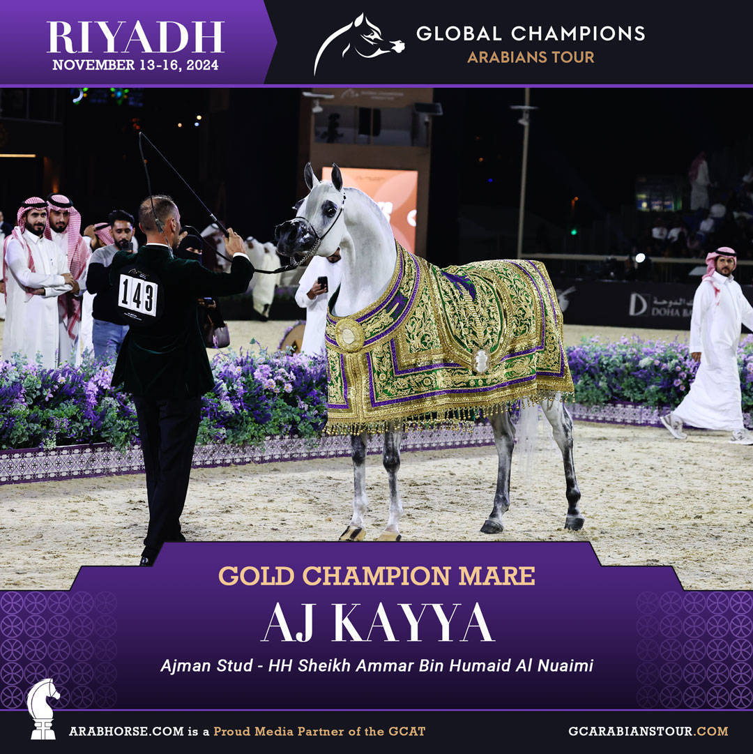 DAY 4: THE GRAND FINALE AND CROWNING CHAMPIONS