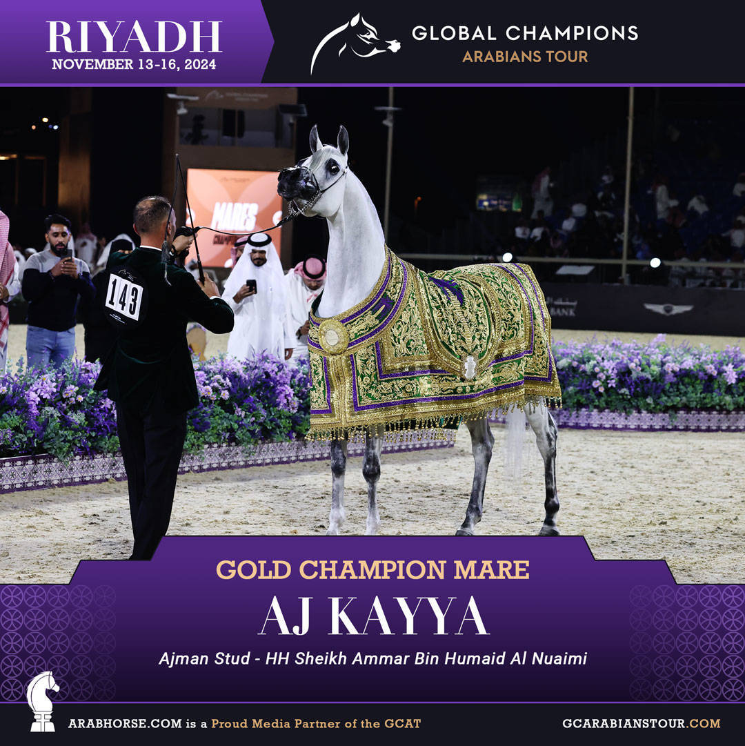 DAY 4: THE GRAND FINALE AND CROWNING CHAMPIONS