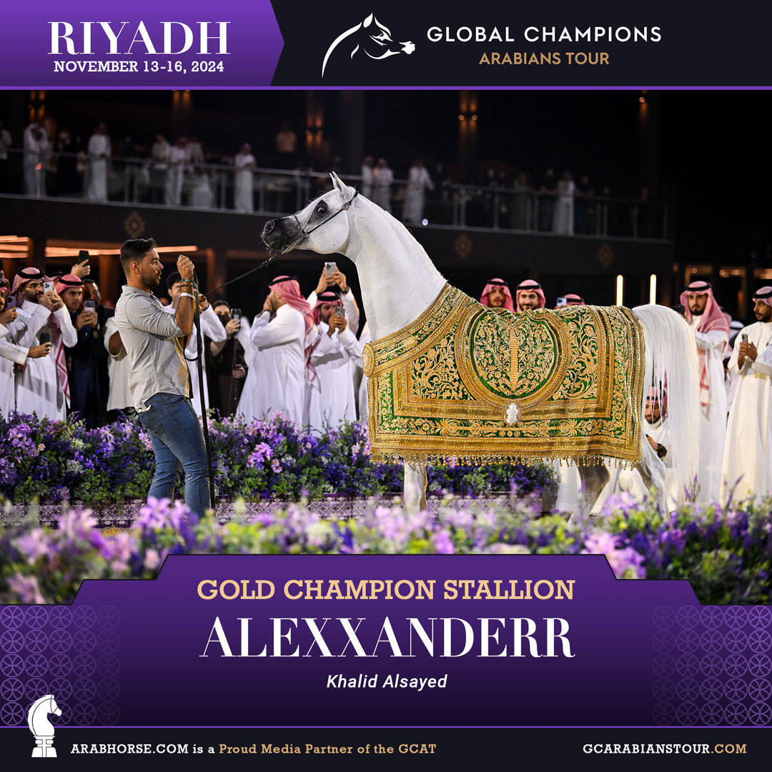 DAY 4: THE GRAND FINALE AND CROWNING CHAMPIONS