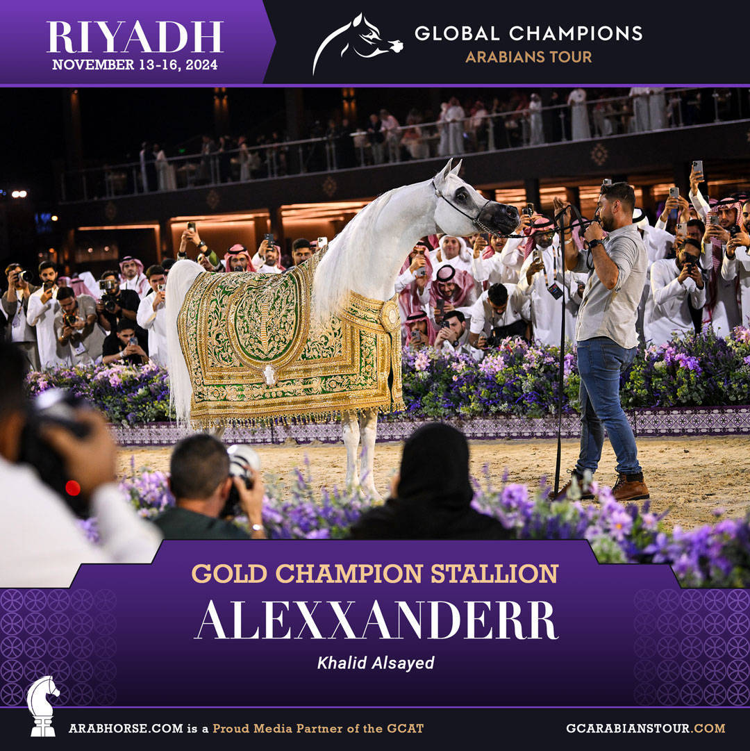 DAY 4: THE GRAND FINALE AND CROWNING CHAMPIONS