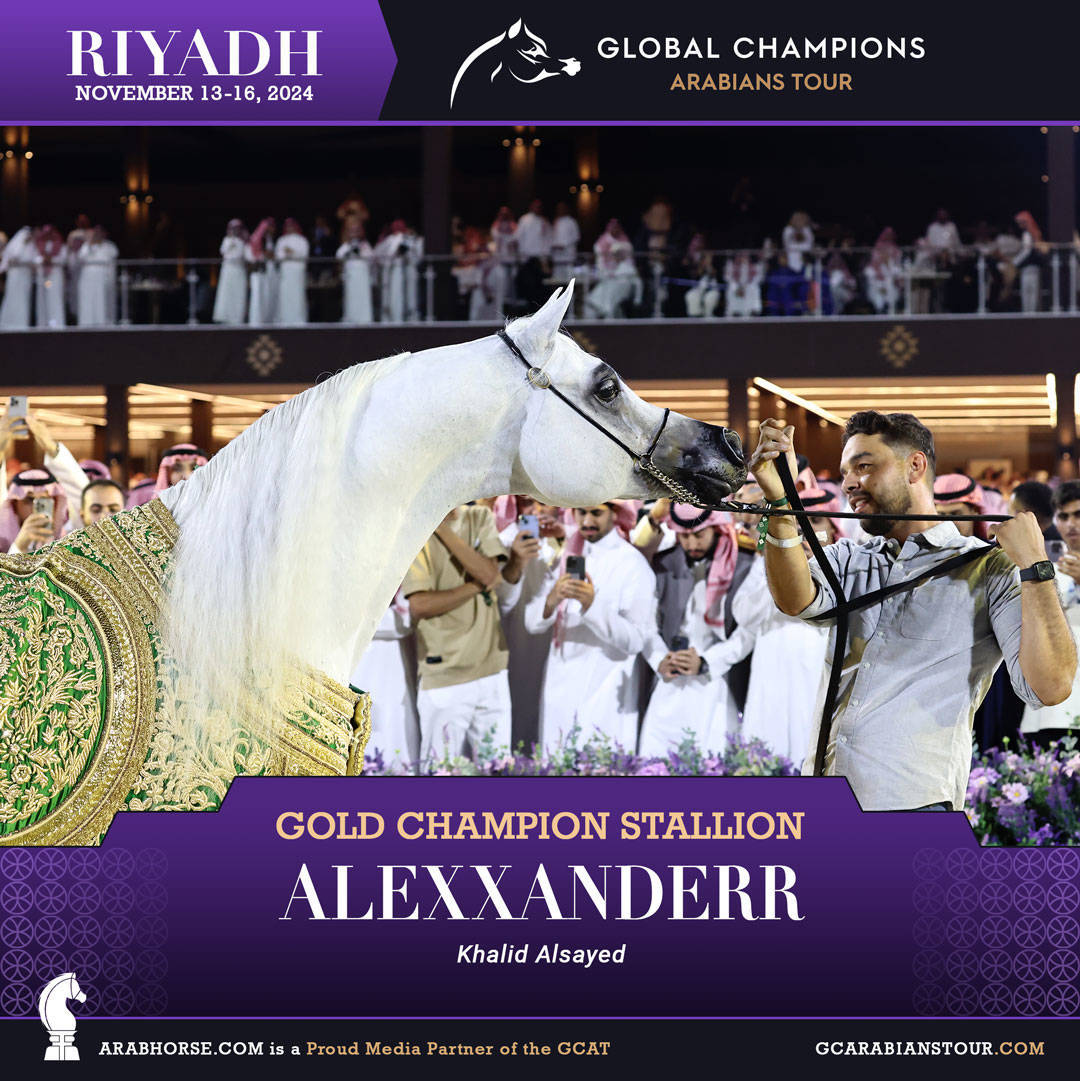 DAY 4: THE GRAND FINALE AND CROWNING CHAMPIONS