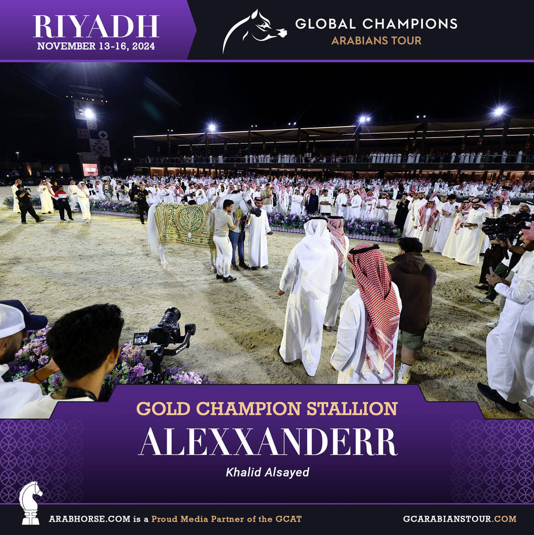 DAY 4: THE GRAND FINALE AND CROWNING CHAMPIONS