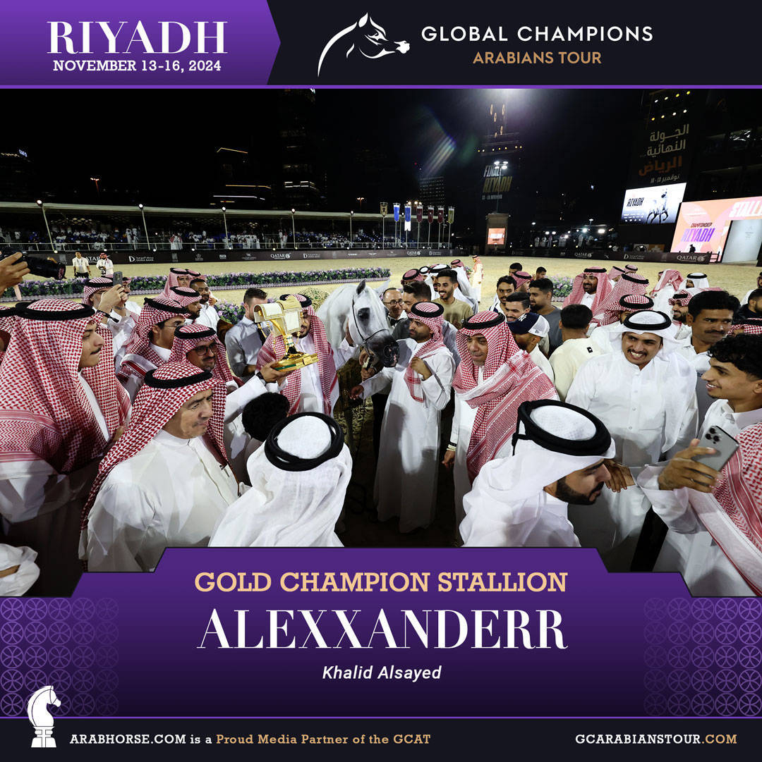 DAY 4: THE GRAND FINALE AND CROWNING CHAMPIONS