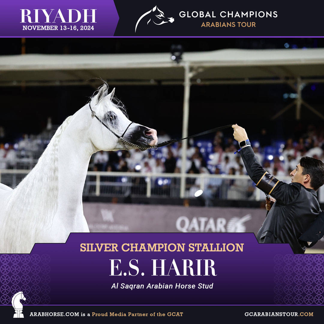 DAY 4: THE GRAND FINALE AND CROWNING CHAMPIONS