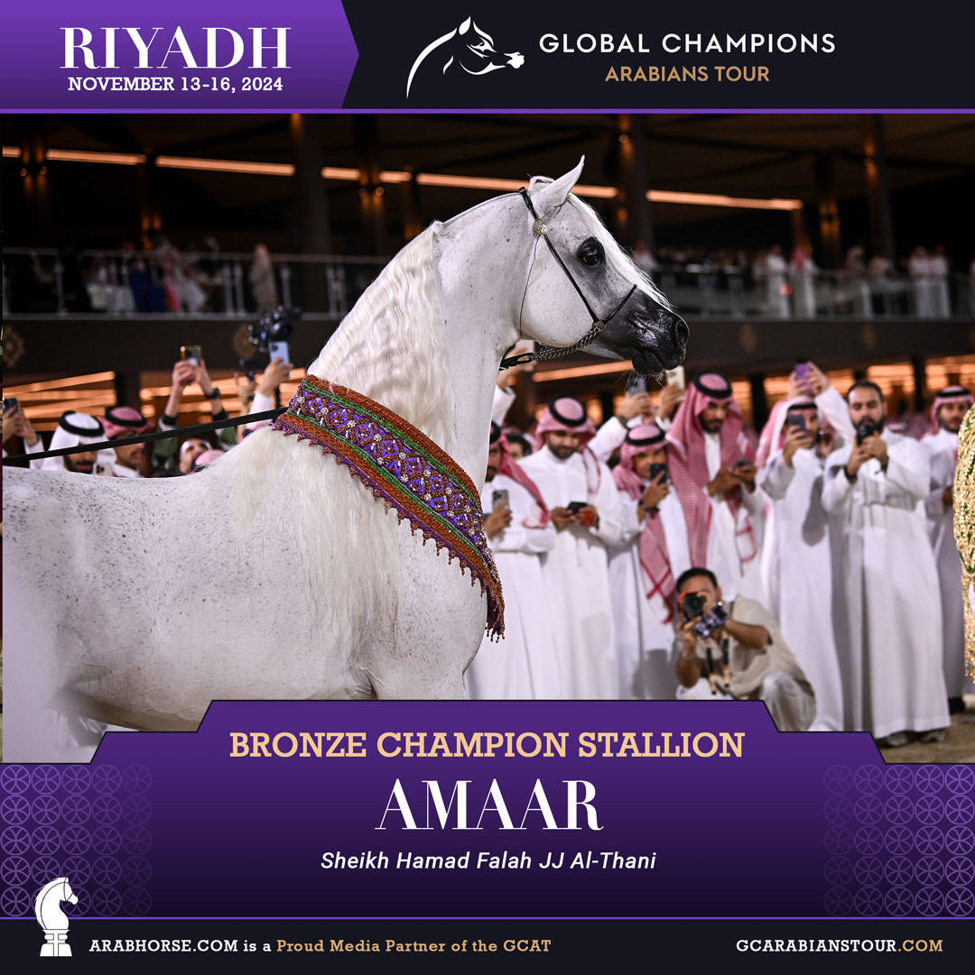 DAY 4: THE GRAND FINALE AND CROWNING CHAMPIONS