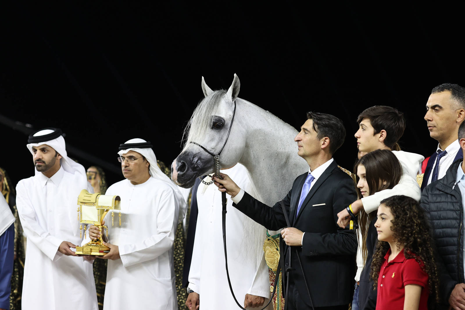 D Seraj Takes Gold in the Senior Stallion Championships at GCAT Ajman Stage
