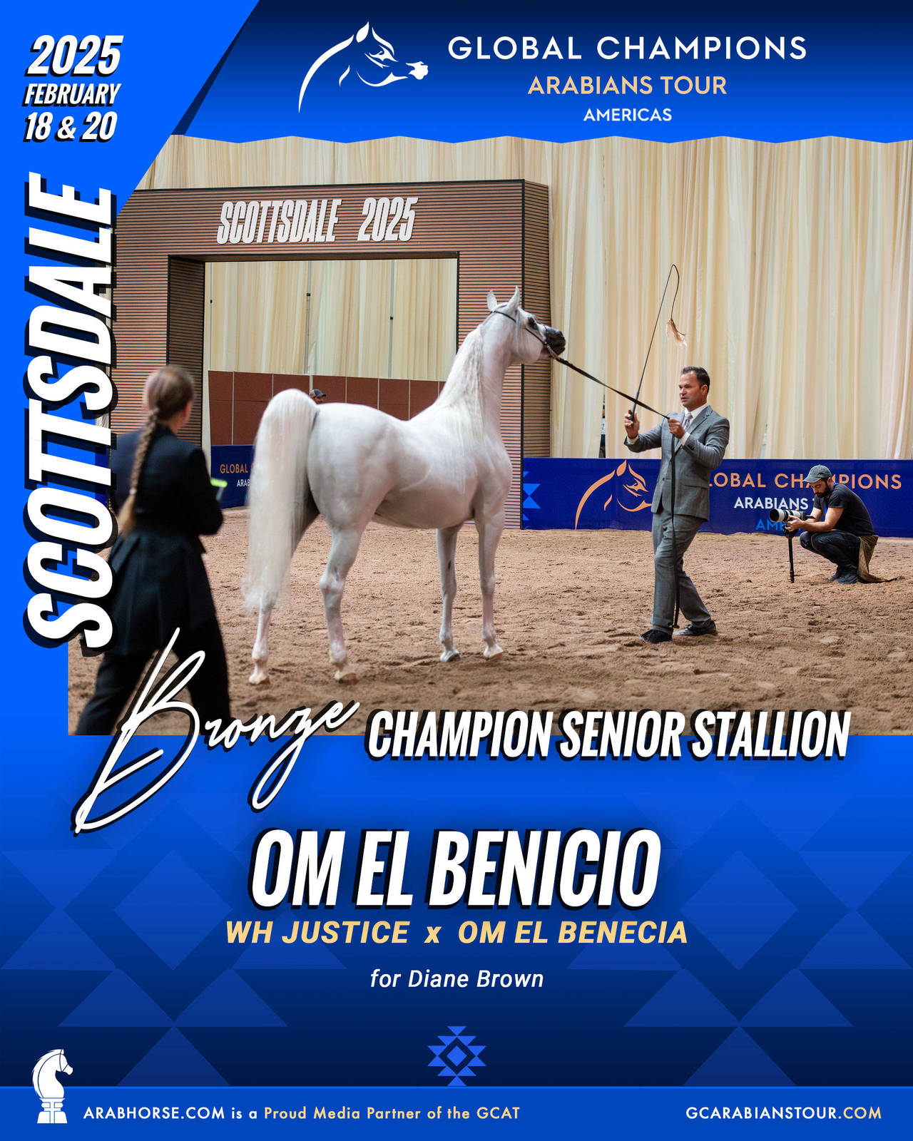 A New Era for Arabian Horses: The Global Champions Arabians Tour Arrives in the Americas