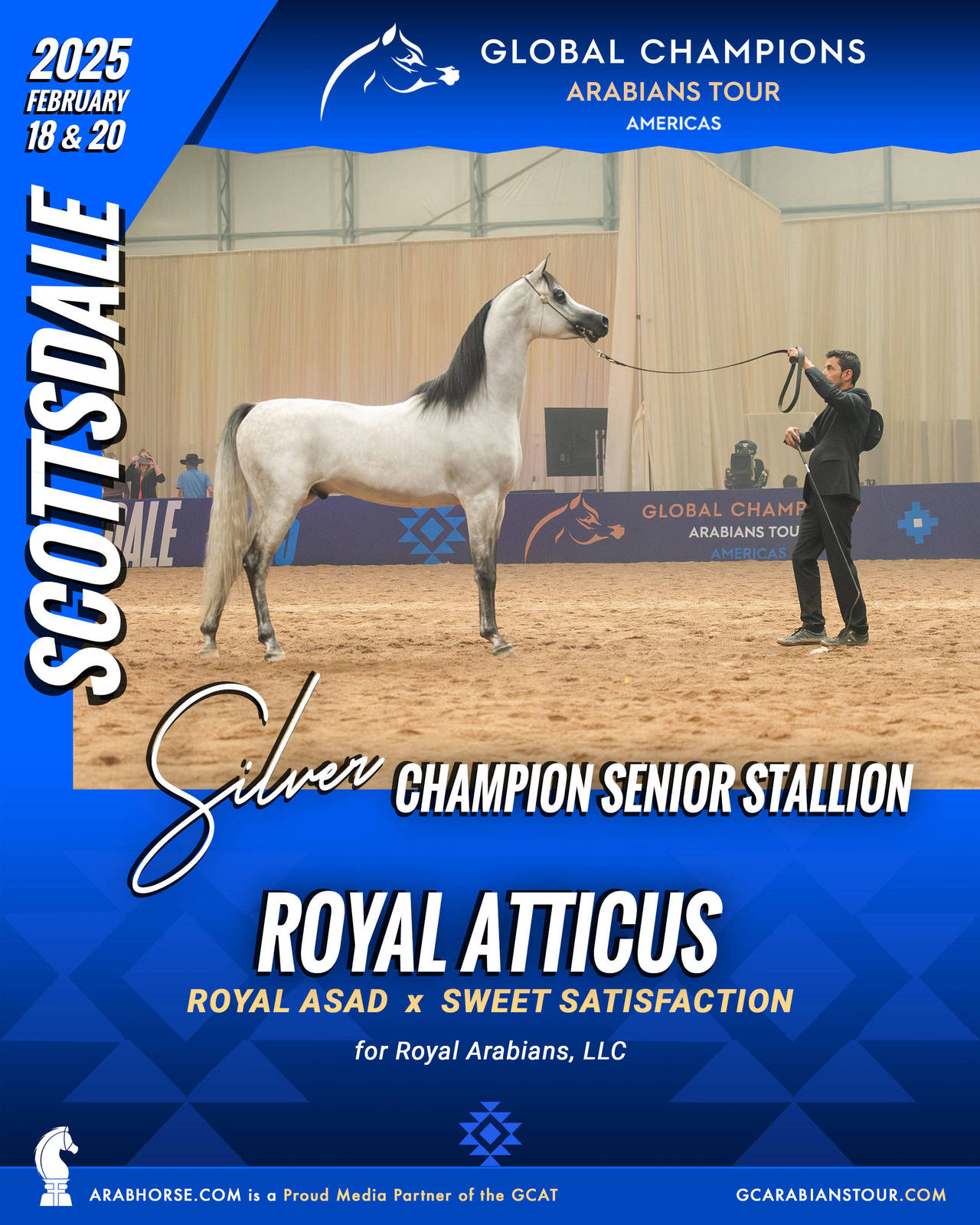 A New Era for Arabian Horses: The Global Champions Arabians Tour Arrives in the Americas