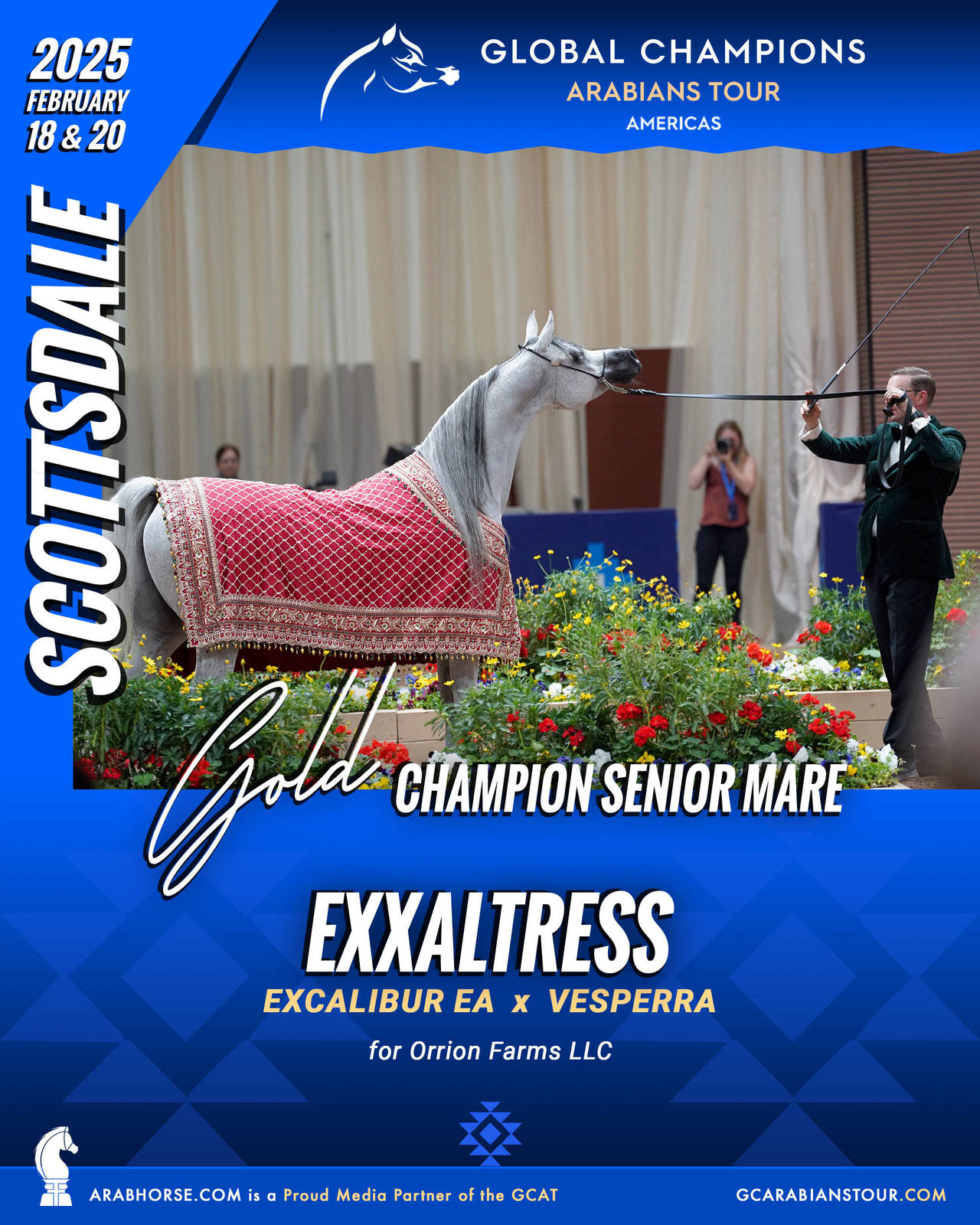 A New Era for Arabian Horses: The Global Champions Arabians Tour Arrives in the Americas