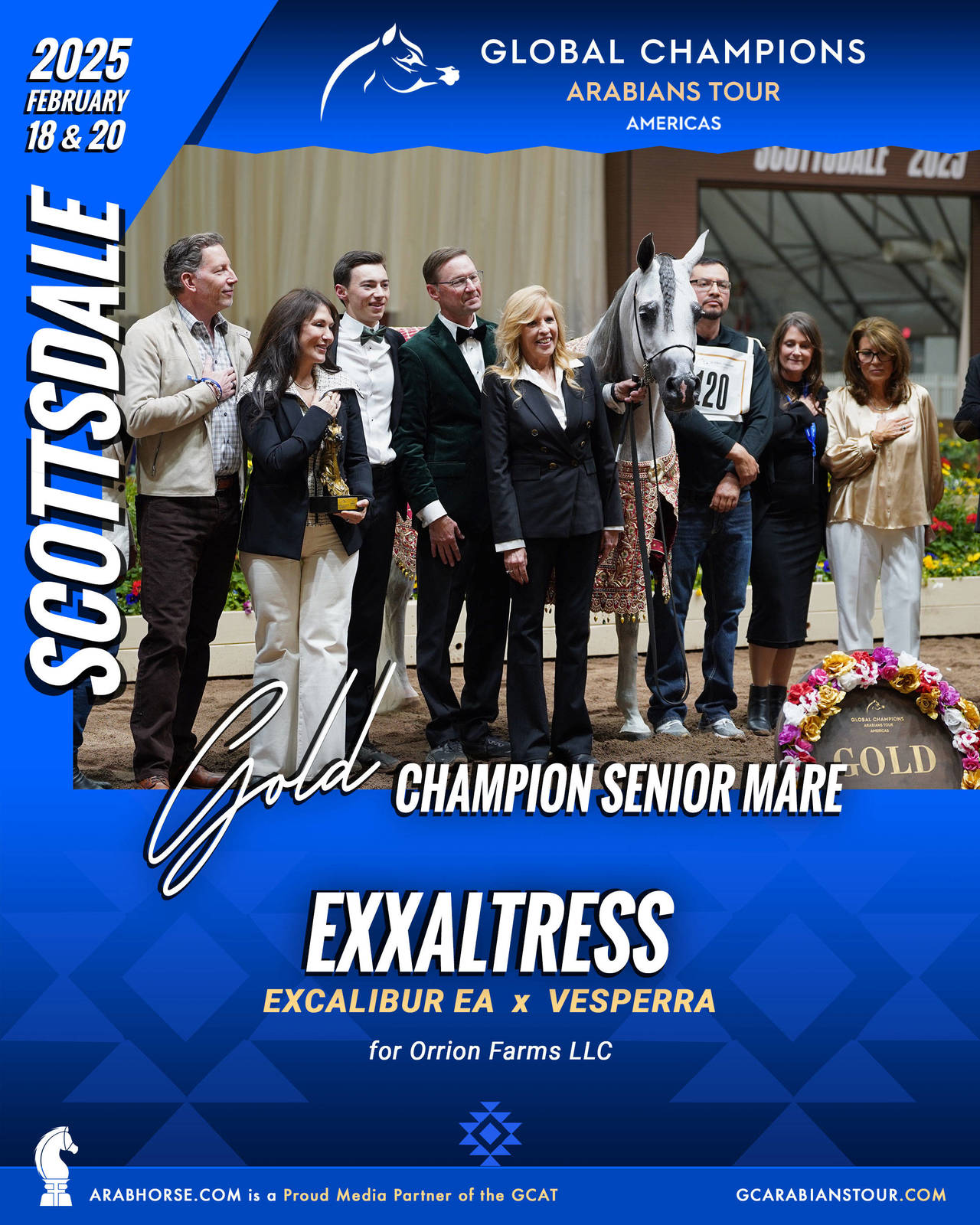 A New Era for Arabian Horses: The Global Champions Arabians Tour Arrives in the Americas