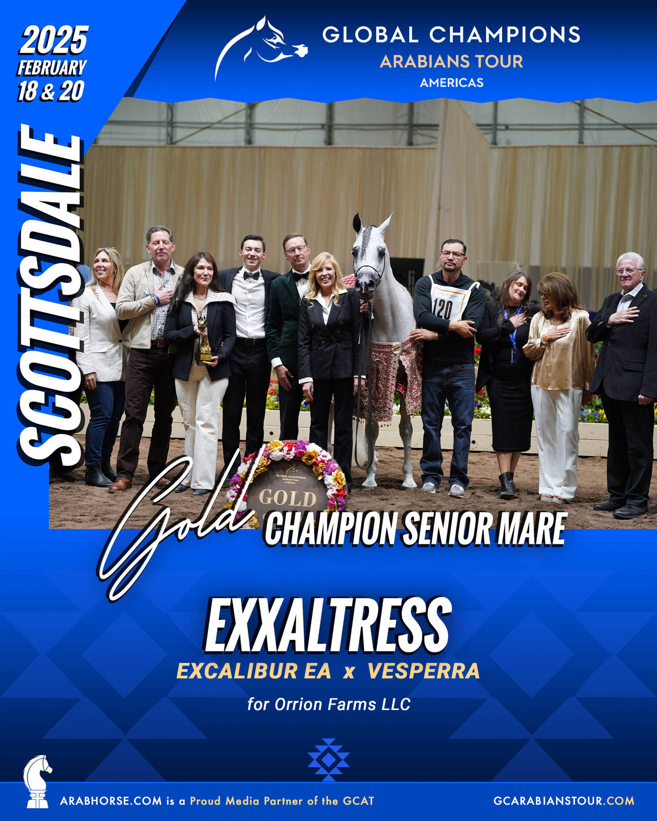 A New Era for Arabian Horses: The Global Champions Arabians Tour Arrives in the Americas