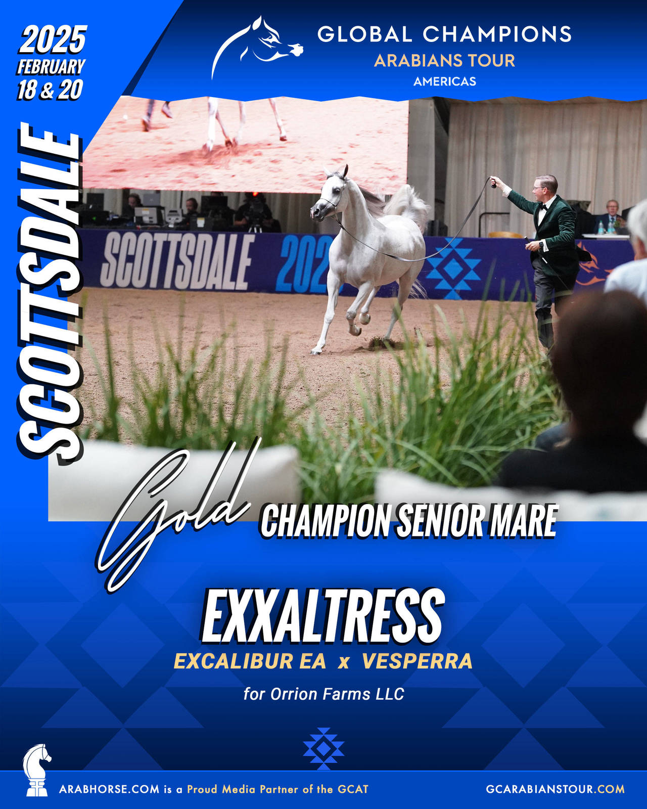 A New Era for Arabian Horses: The Global Champions Arabians Tour Arrives in the Americas