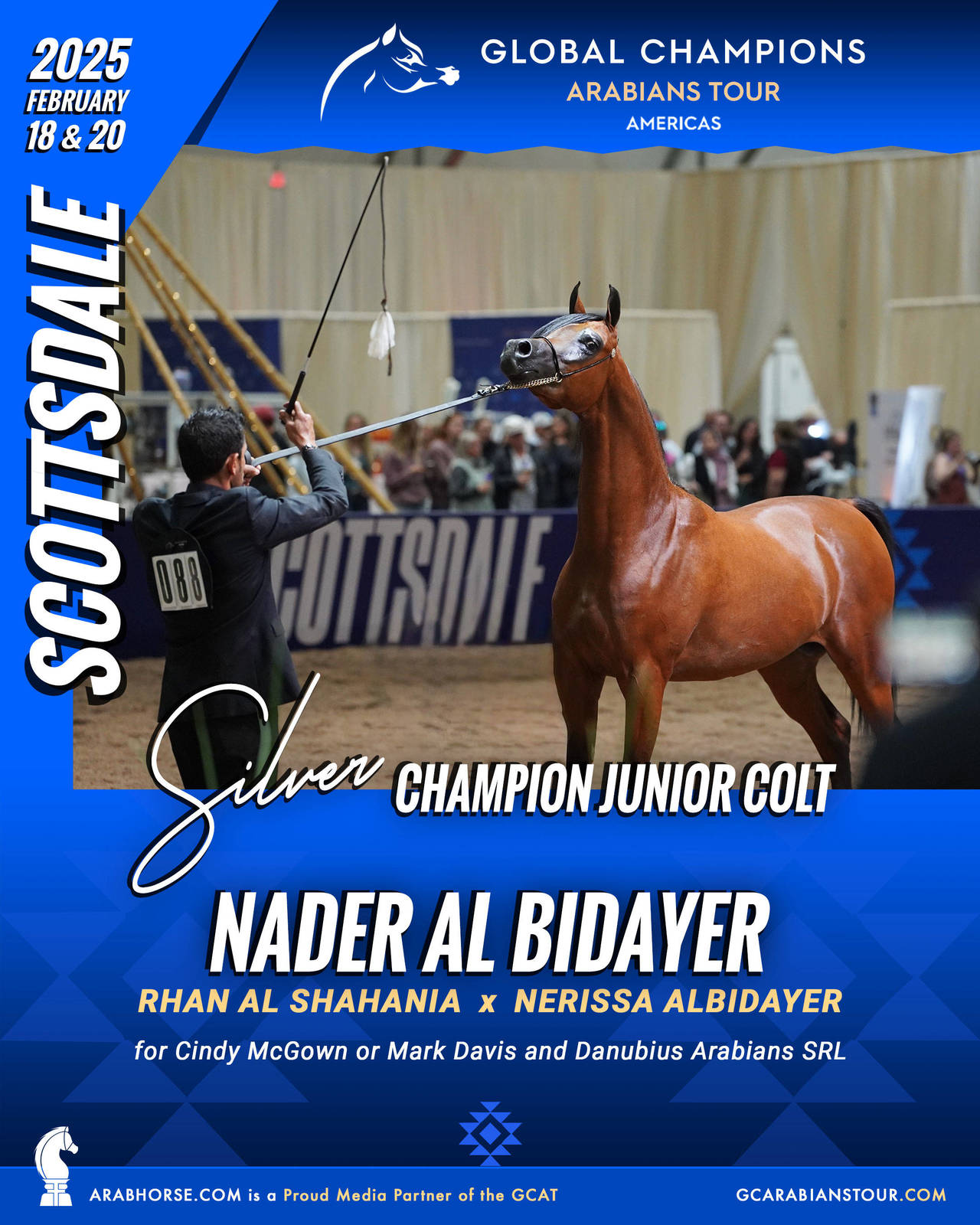 A New Era for Arabian Horses: The Global Champions Arabians Tour Arrives in the Americas