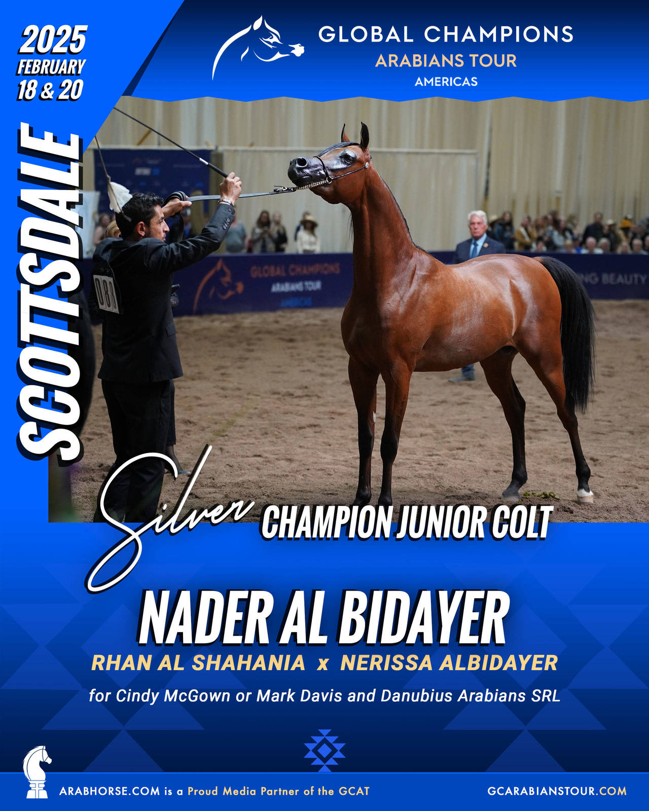 A New Era for Arabian Horses: The Global Champions Arabians Tour Arrives in the Americas