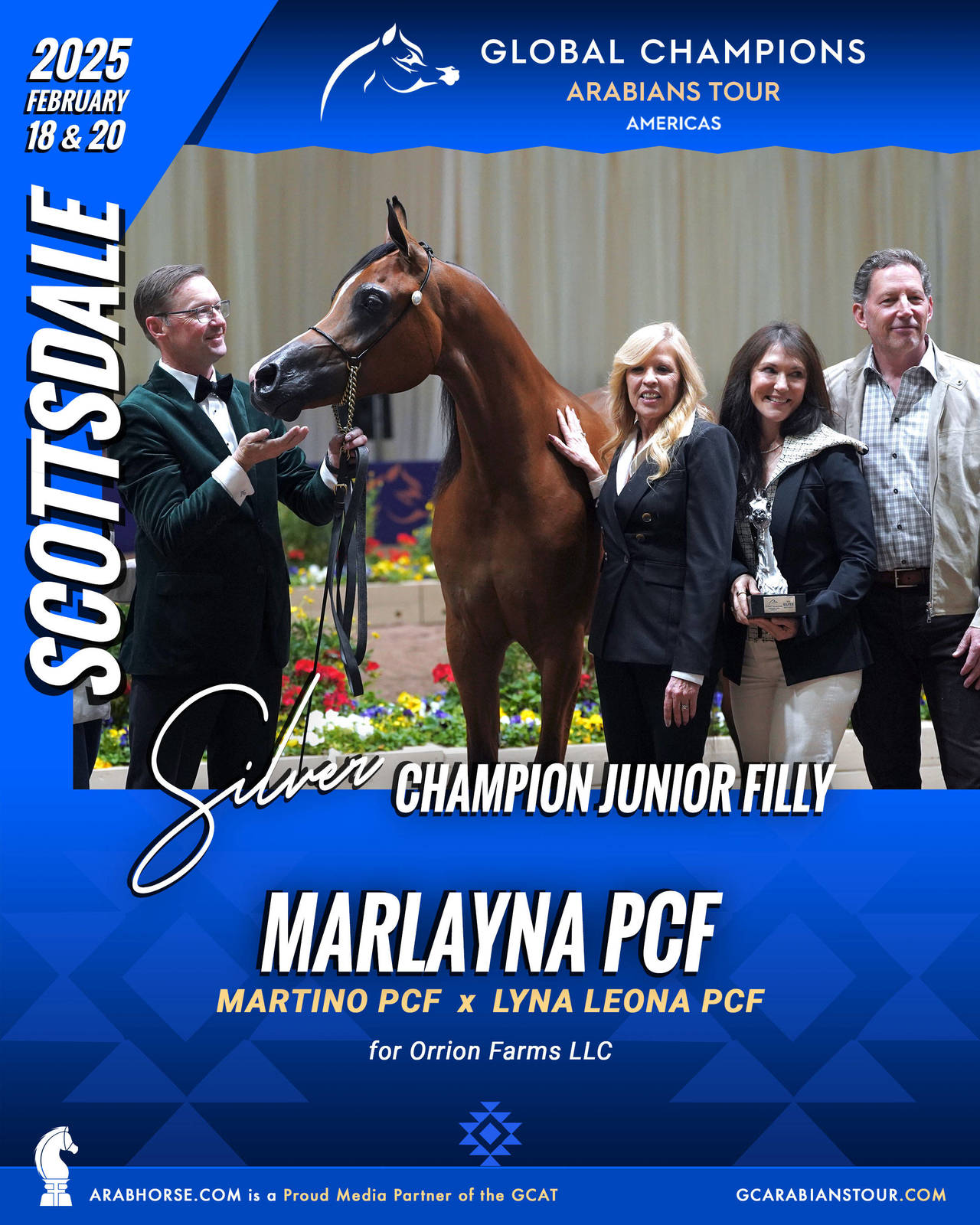 A New Era for Arabian Horses: The Global Champions Arabians Tour Arrives in the Americas