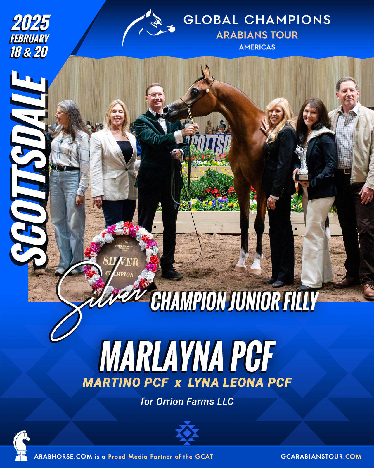 A New Era for Arabian Horses: The Global Champions Arabians Tour Arrives in the Americas