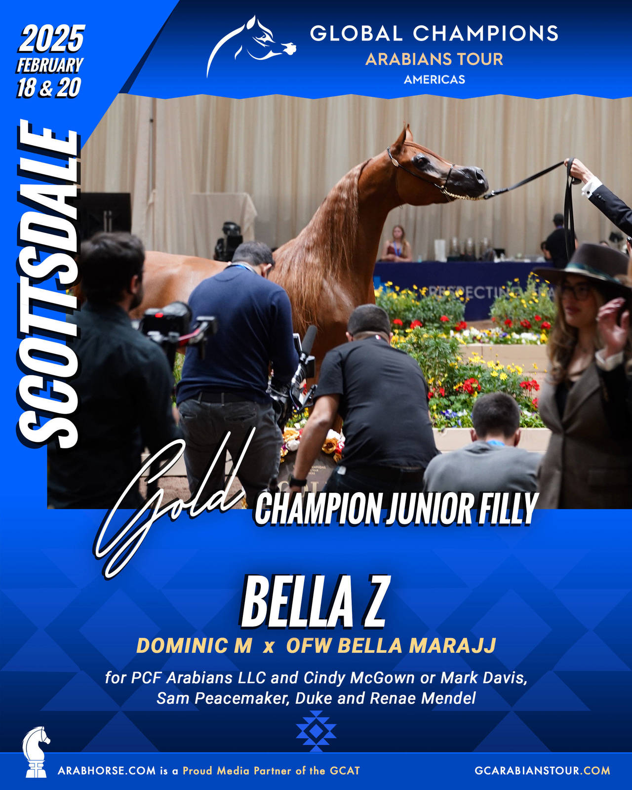 A New Era for Arabian Horses: The Global Champions Arabians Tour Arrives in the Americas