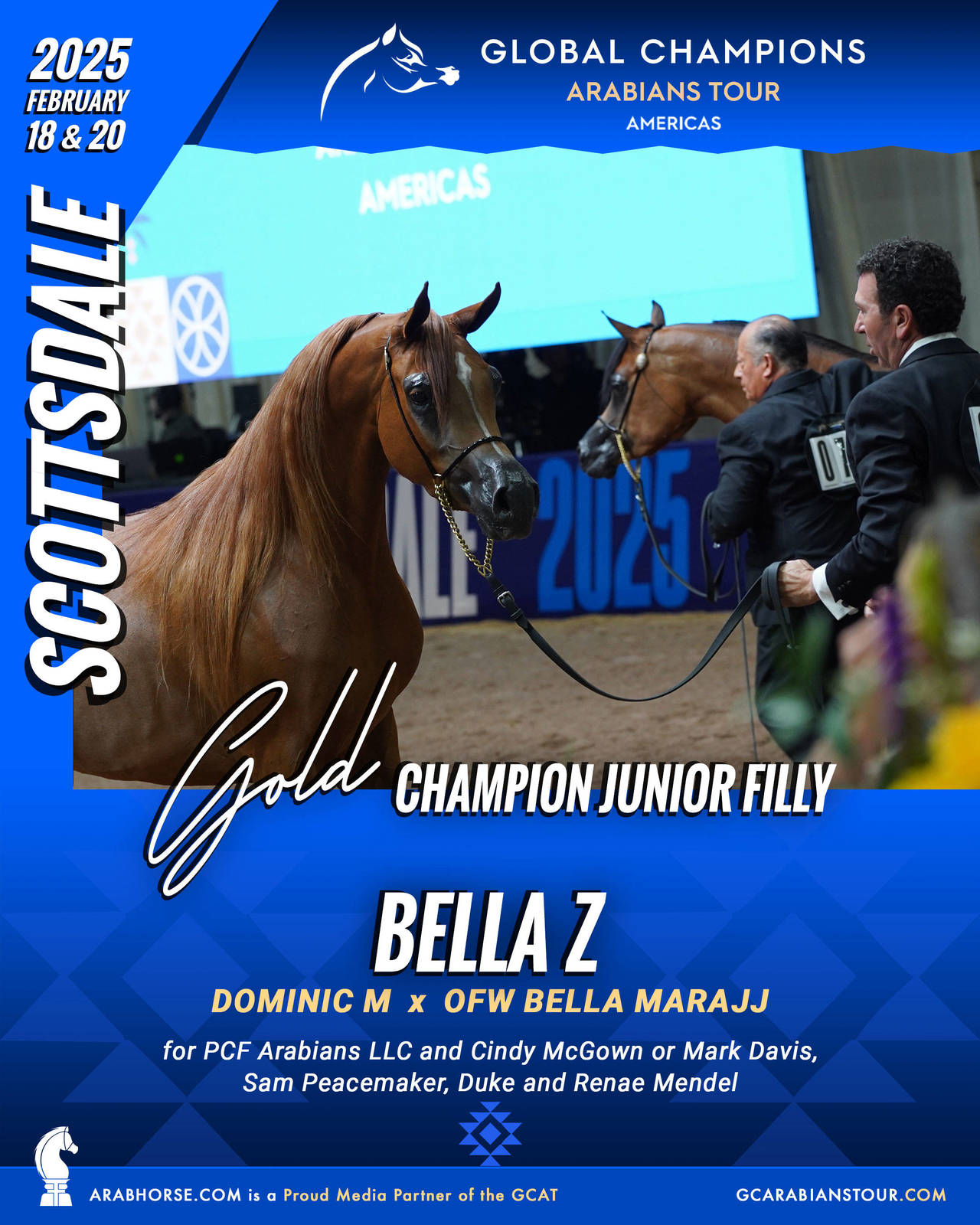 A New Era for Arabian Horses: The Global Champions Arabians Tour Arrives in the Americas