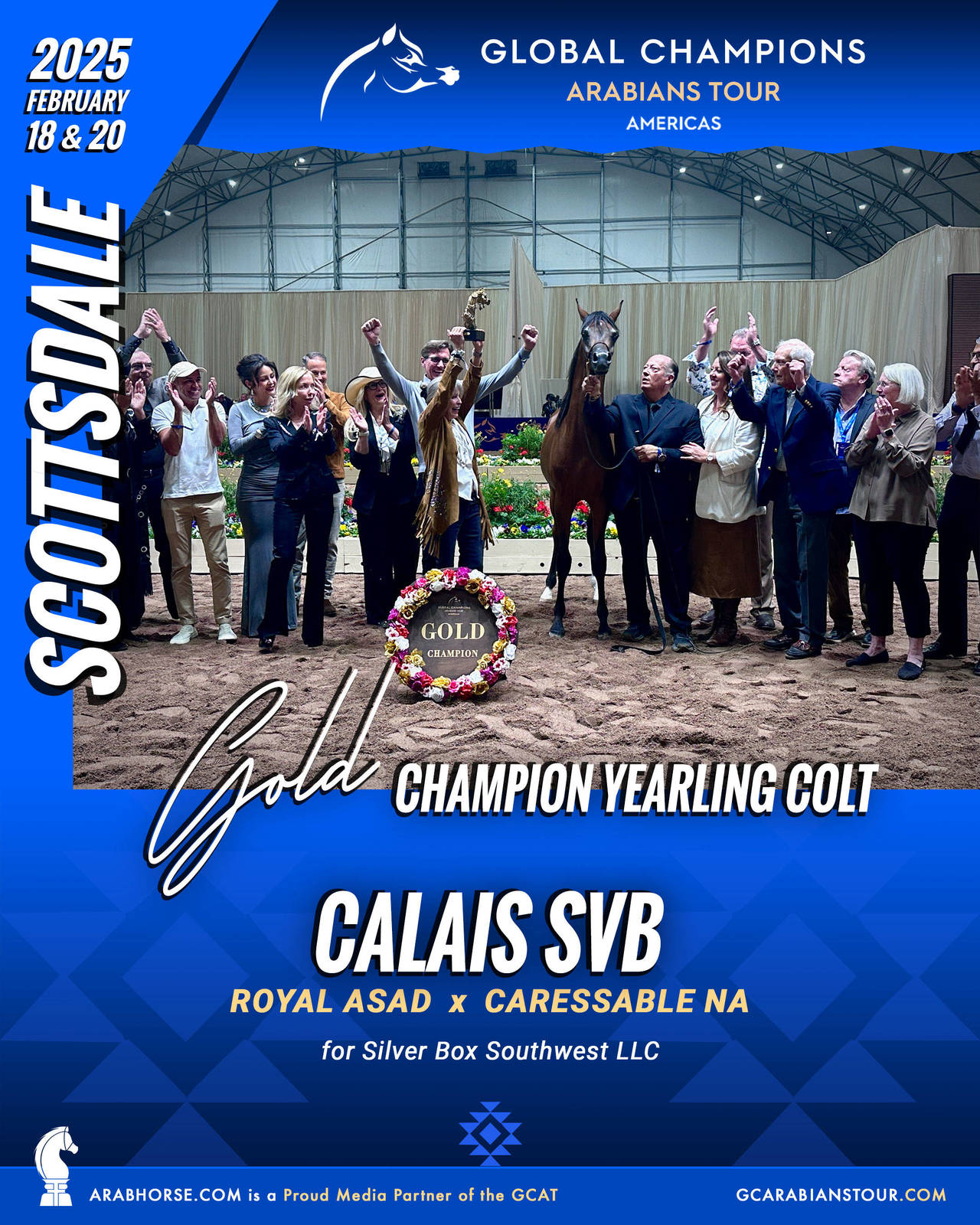 A New Era for Arabian Horses: The Global Champions Arabians Tour Arrives in the Americas