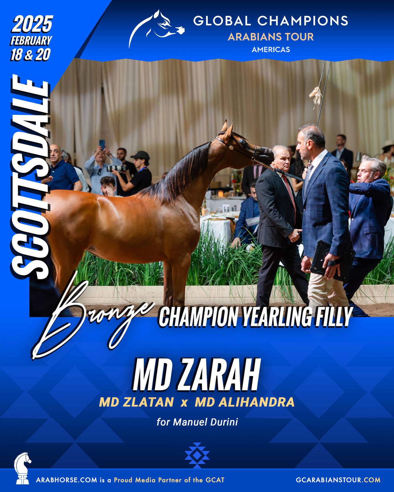 A New Era for Arabian Horses: The Global Champions Arabians Tour Arrives in the Americas