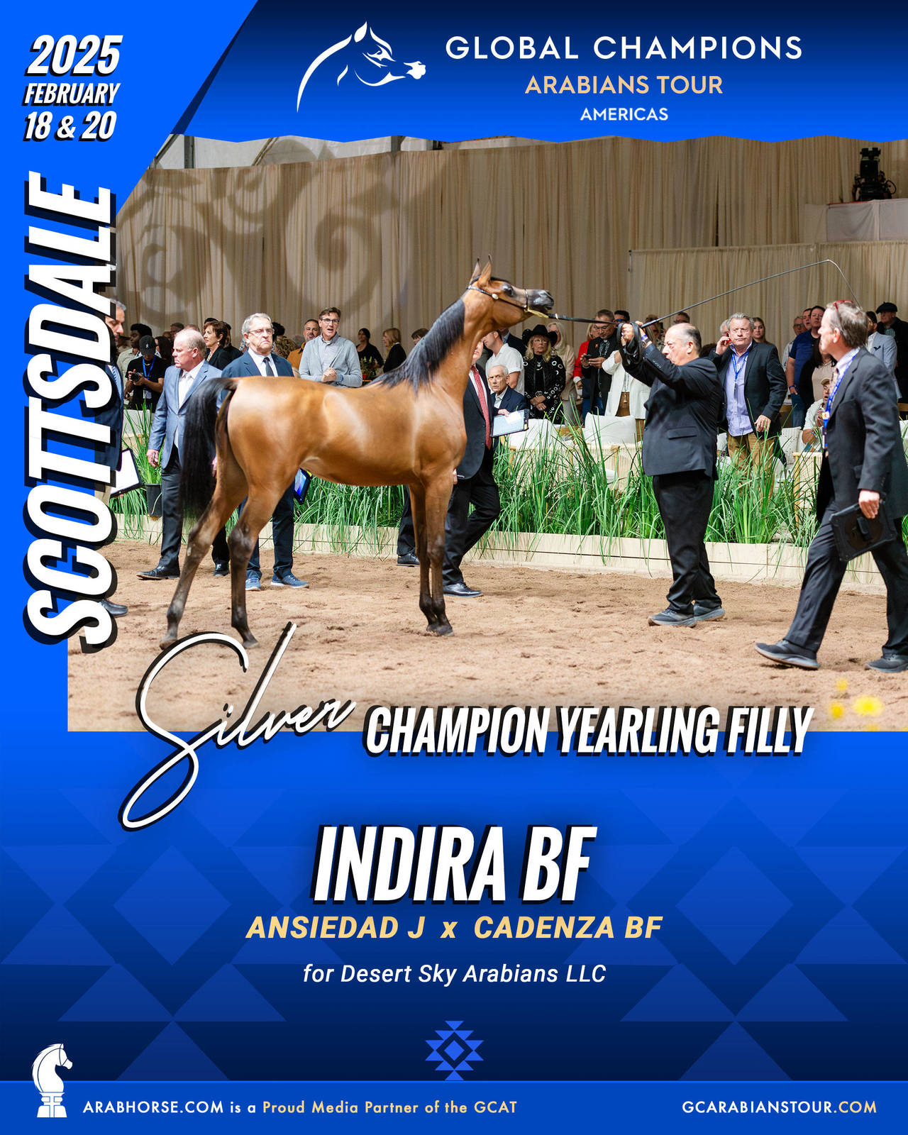 A New Era for Arabian Horses: The Global Champions Arabians Tour Arrives in the Americas