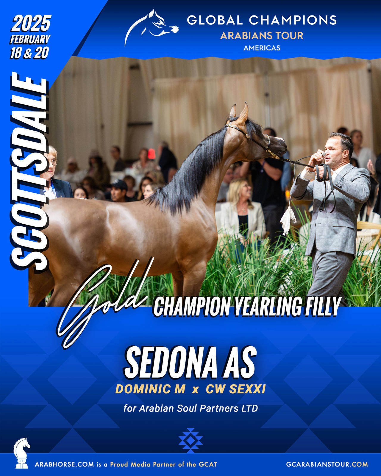 A New Era for Arabian Horses: The Global Champions Arabians Tour Arrives in the Americas