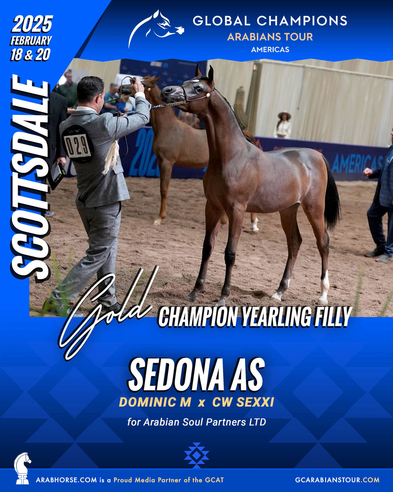 A New Era for Arabian Horses: The Global Champions Arabians Tour Arrives in the Americas