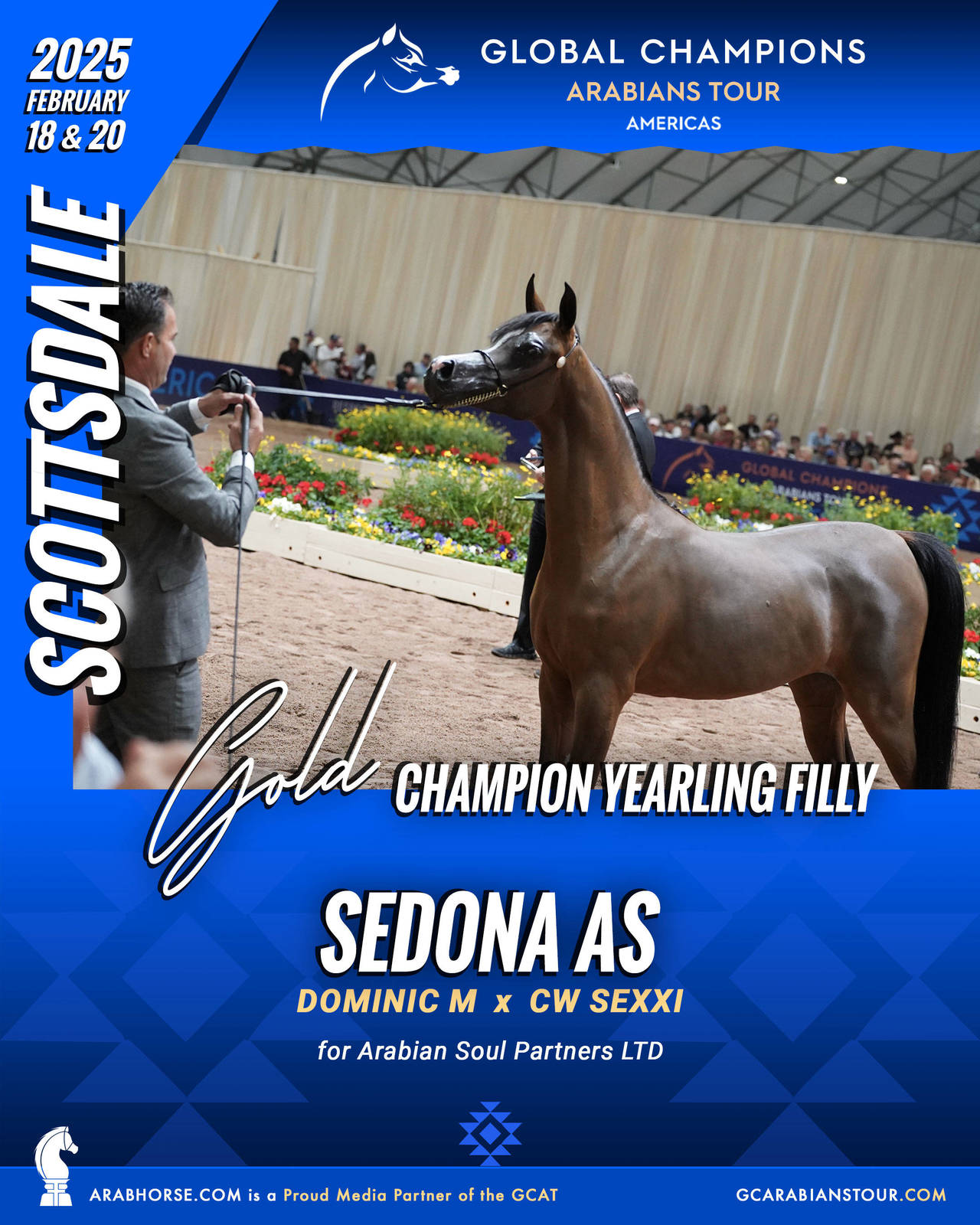 A New Era for Arabian Horses: The Global Champions Arabians Tour Arrives in the Americas