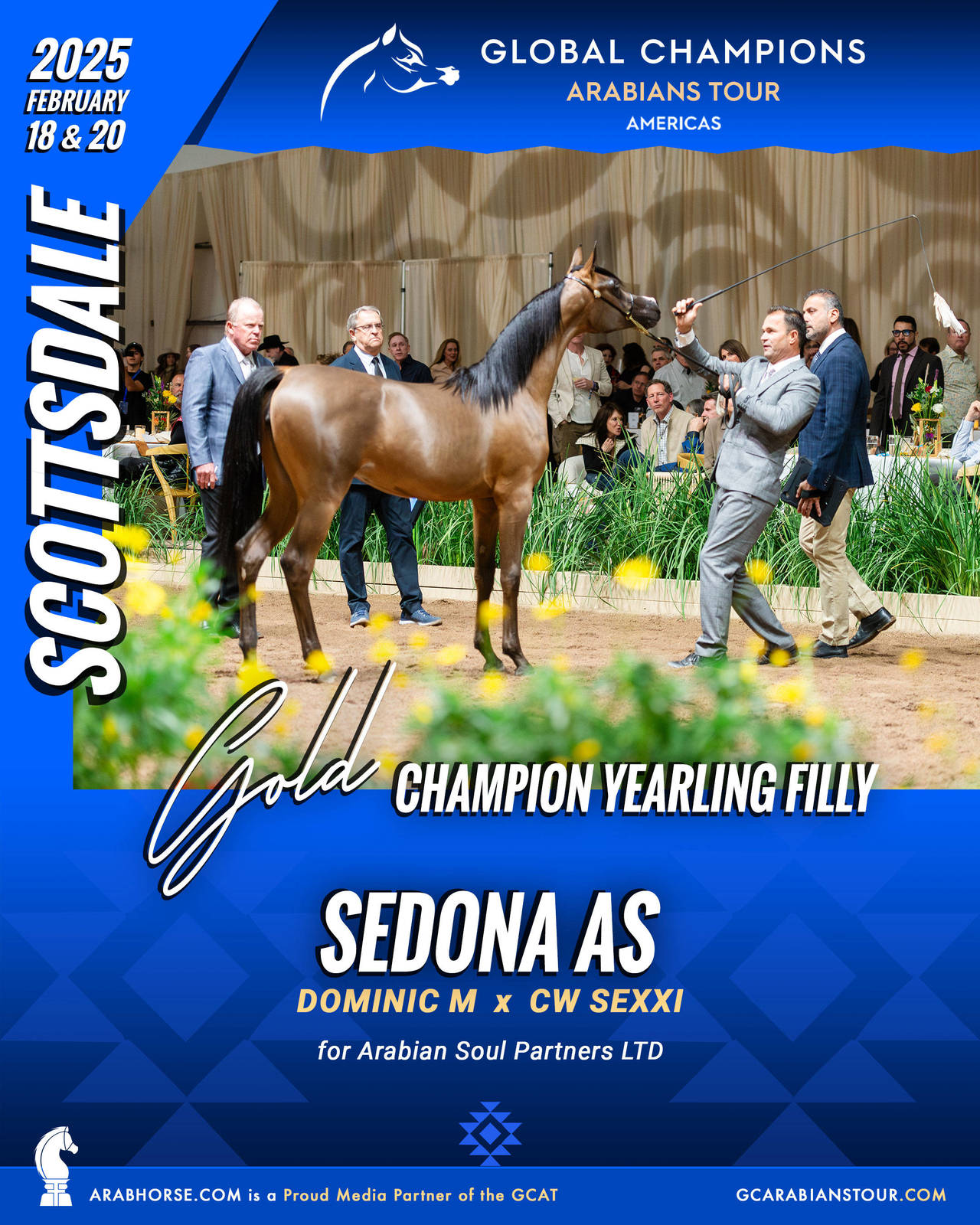 A New Era for Arabian Horses: The Global Champions Arabians Tour Arrives in the Americas