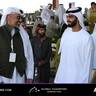 Global Champions Arabians Tour Ajman 2025 – Photo Gallery
