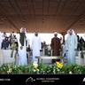 Global Champions Arabians Tour Ajman 2025 – Photo Gallery