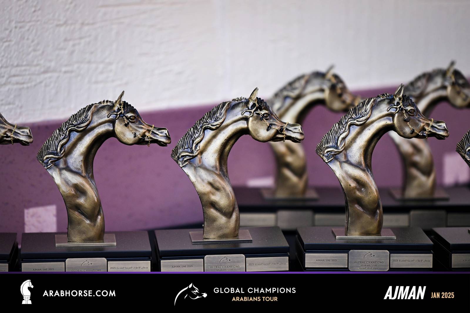 Global Champions Arabians Tour Ajman 2025 – Photo Gallery