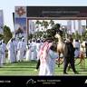 Global Champions Arabians Tour Ajman 2025 – Photo Gallery