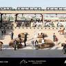 Global Champions Arabians Tour Ajman 2025 – Photo Gallery
