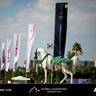 Global Champions Arabians Tour Ajman 2025 – Photo Gallery