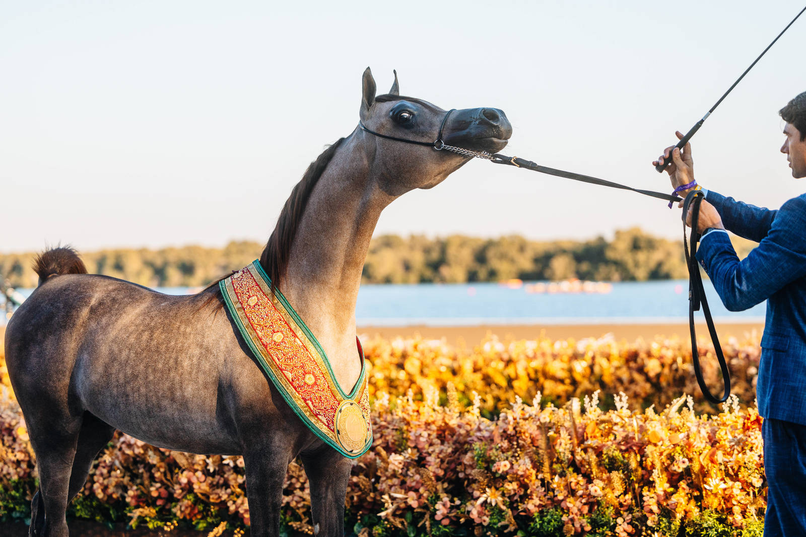 Ajman’s Al Zorah Beach Welcomes the Global Champions Arabians Tour 2025