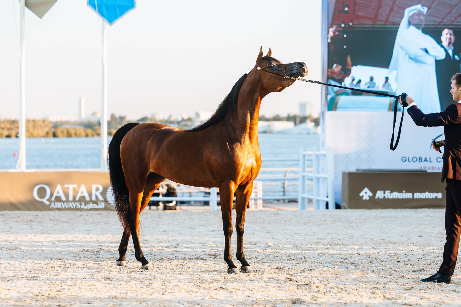Ajman’s Al Zorah Beach Welcomes the Global Champions Arabians Tour 2025