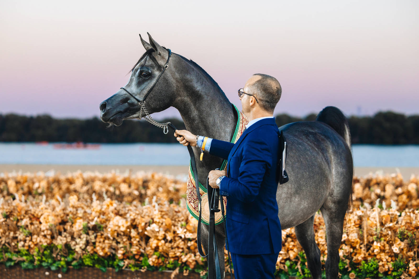 Ajman’s Al Zorah Beach Welcomes the Global Champions Arabians Tour 2025