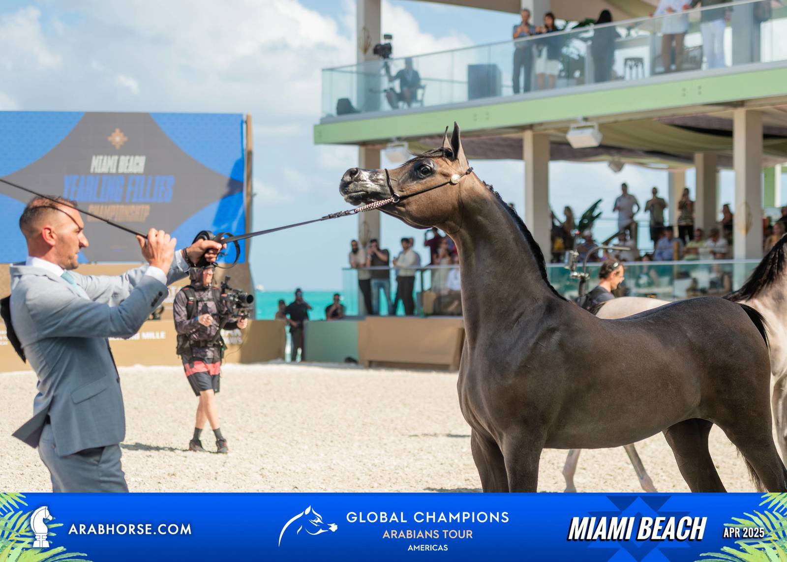  Global Champions Arabians Tour Miami Beach 2025: A Showcase of Champions