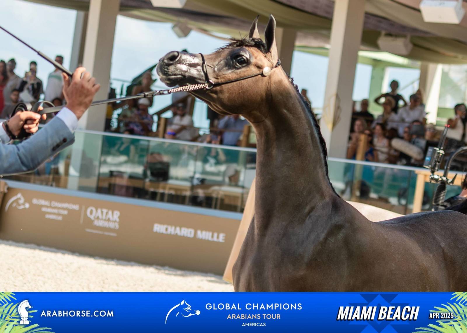  Global Champions Arabians Tour Miami Beach 2025: A Showcase of Champions