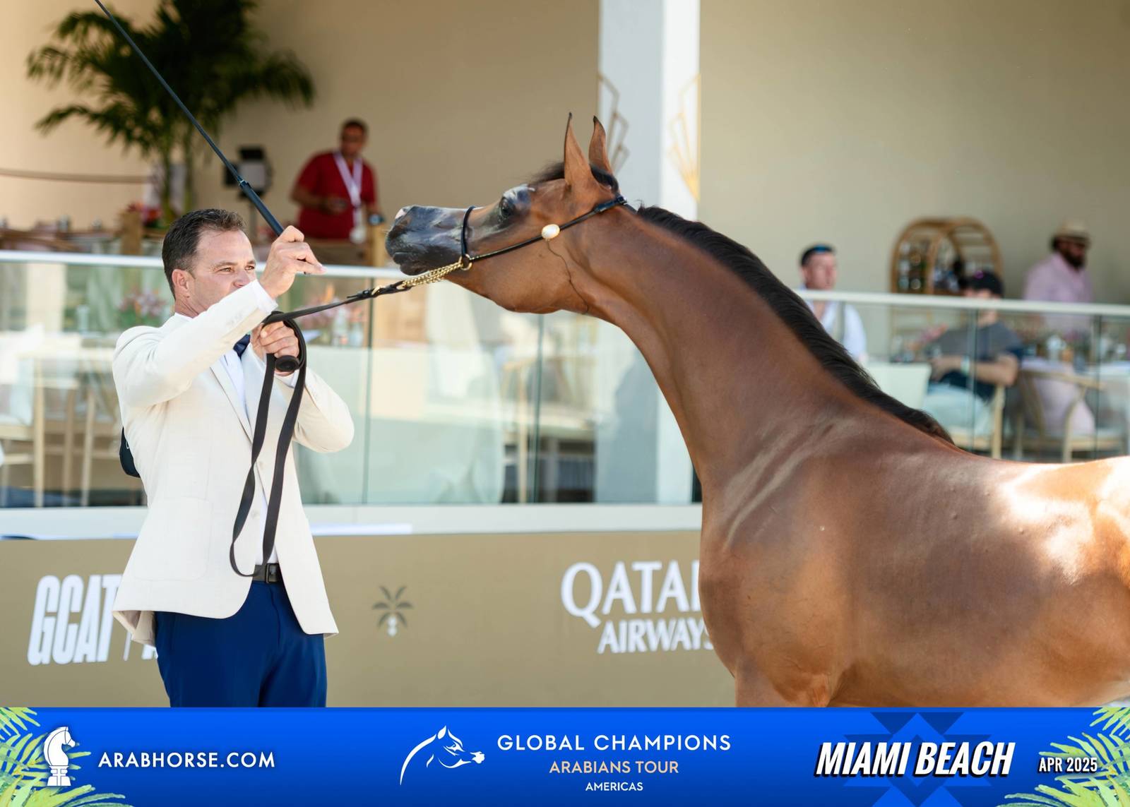  Global Champions Arabians Tour Miami Beach 2025: A Showcase of Champions